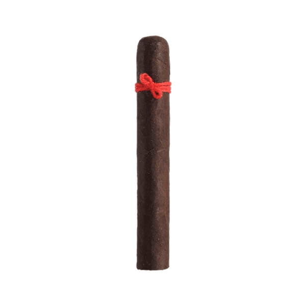 Nicarao Furia Tisiphone Gran Toro 10