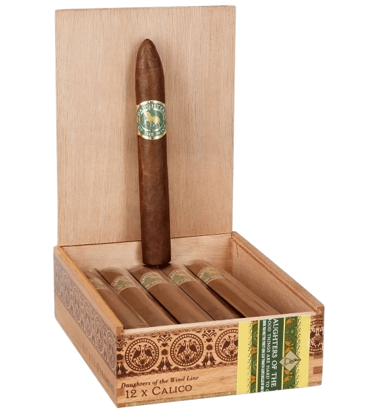 Daughters Of The Wind Rabicano Figurado Salomone 12