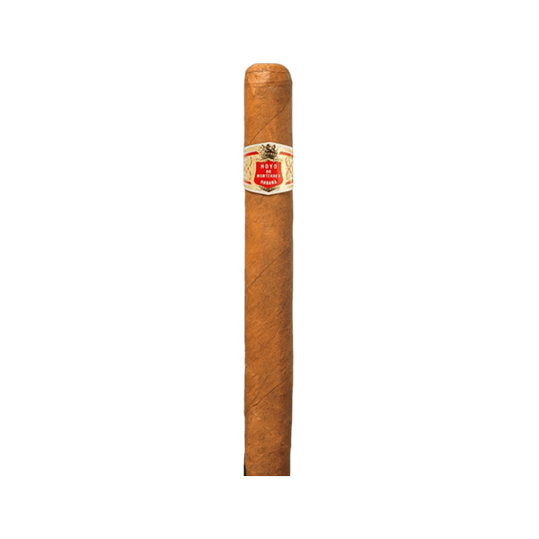 Hoyo De Mont Palmas Exstra 25