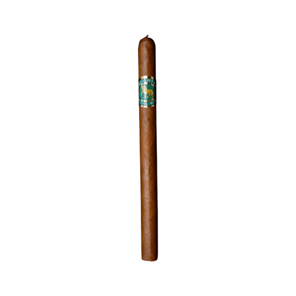 Casdagli Daughters Of The Wind Cremello Lancero 15