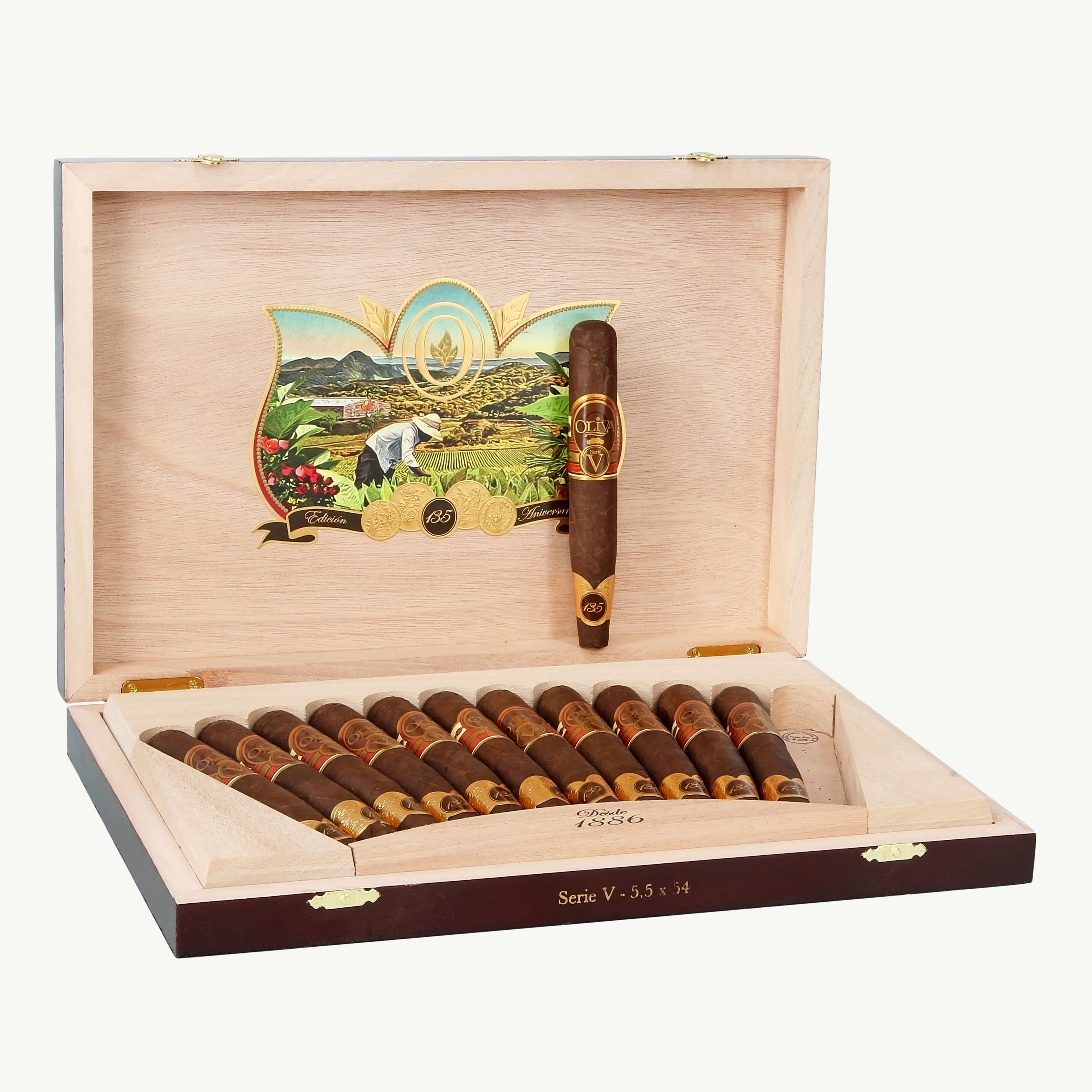 Oliva 135th Anniversary AE